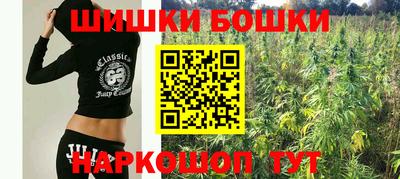 гашик Канаш