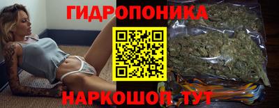 гашик Канаш