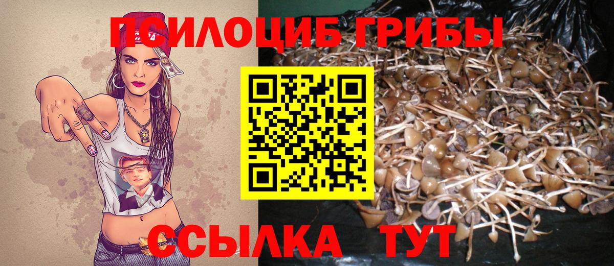 Галлюциногенные грибы Magic Shrooms Краснокаменск