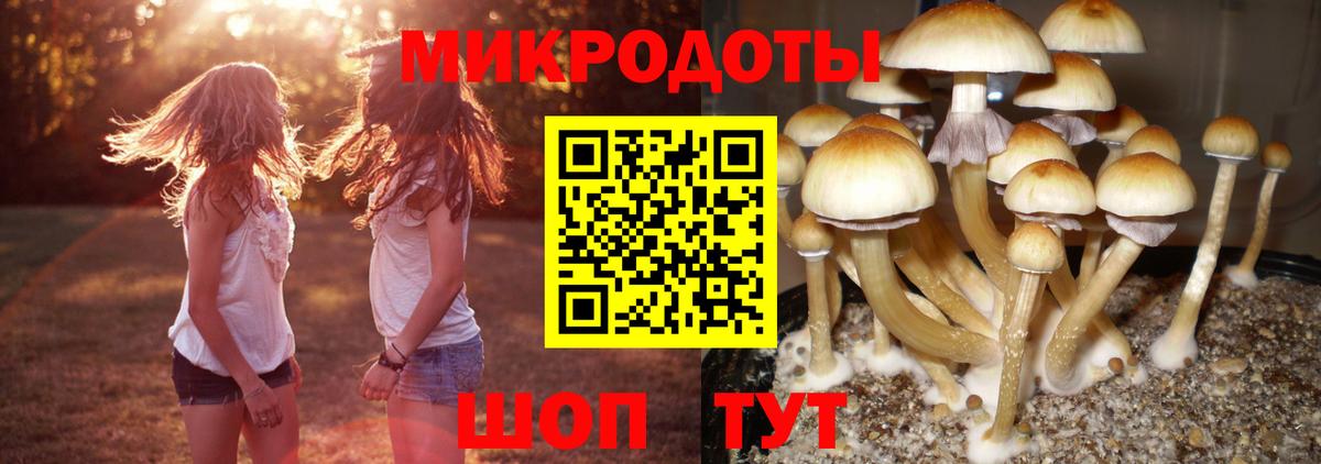 Краснокаменск  Галлюциногенные грибы Cubensis  как найти закладки  Вход с VPN 